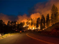 Лесные пожары в Колорадо