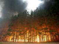 лесные пожары на территории России